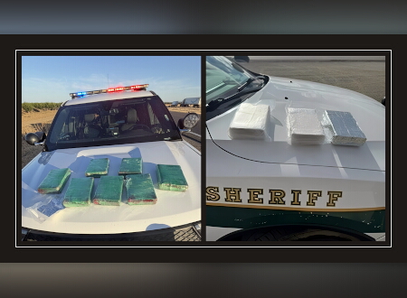 Fentanyl Seizures