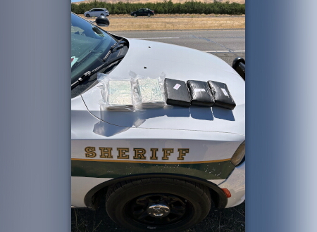 Seized Cocaine